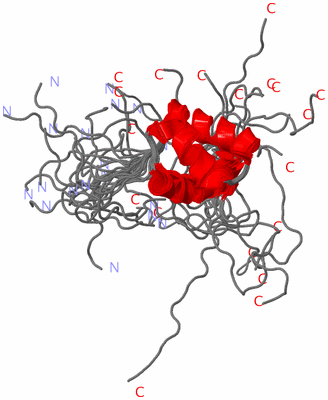 Image NMR Structure - all models