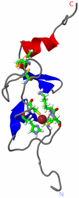 Image NMR Structure - model 1, sites