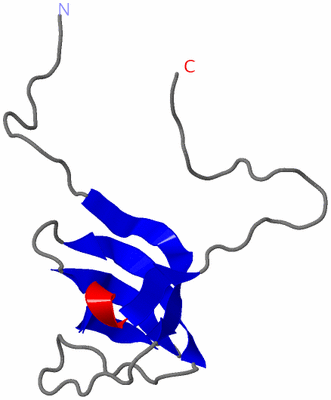 Image NMR Structure - model 1