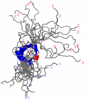 Image NMR Structure - all models