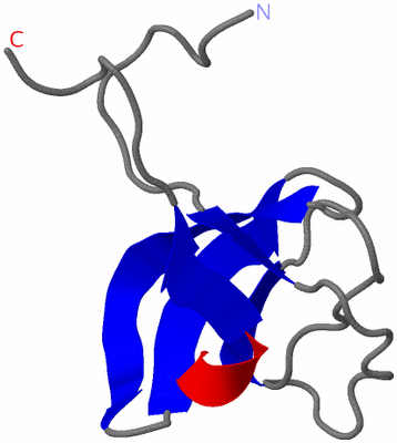 Image NMR Structure - model 1