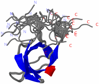 Image NMR Structure - all models