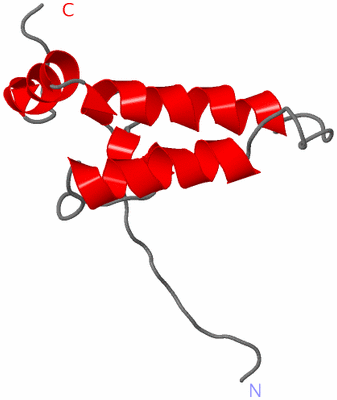 Image NMR Structure - model 1