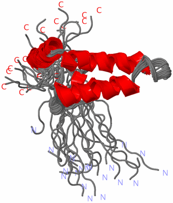 Image NMR Structure - all models