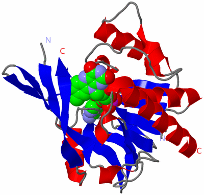 Image Asym./Biol. Unit