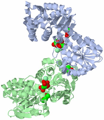 Image Asym./Biol. Unit