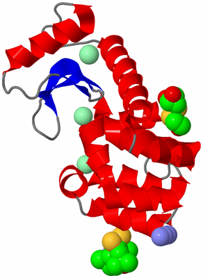 Image Asym./Biol. Unit