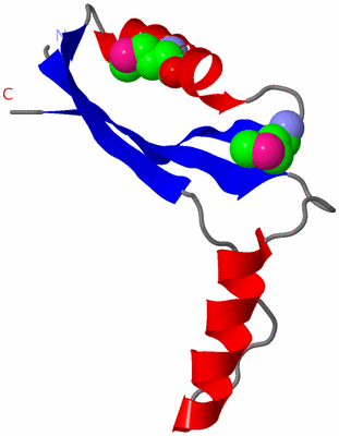 Image Asymmetric Unit