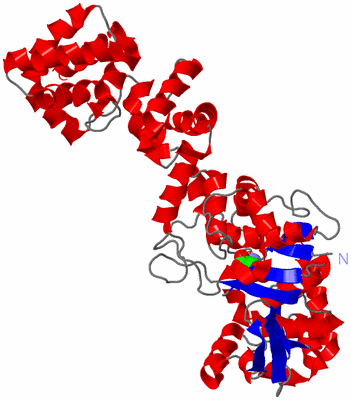 Image Asym./Biol. Unit