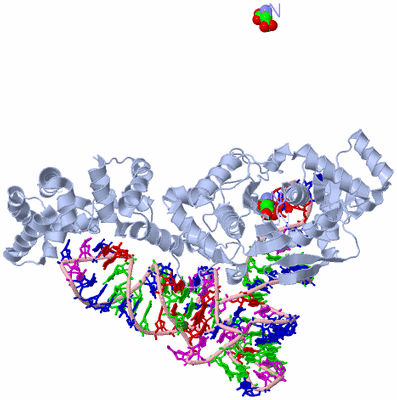 Image Biological Unit 1