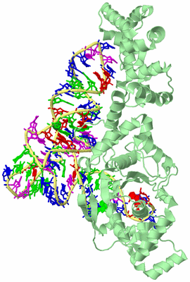 Image Biological Unit 2