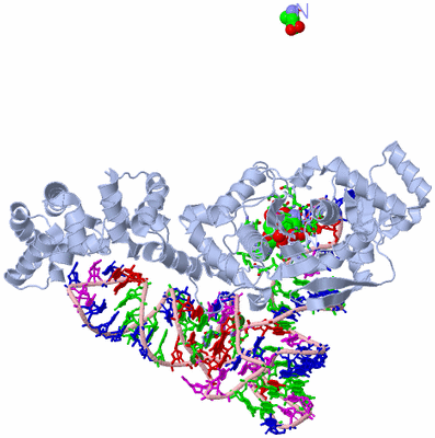 Image Biol. Unit 1 - sites