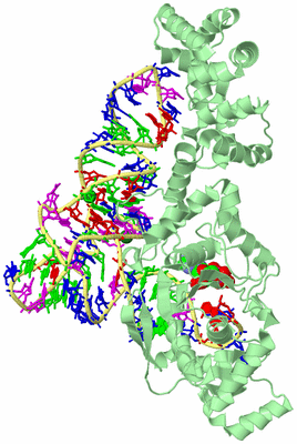 Image Biological Unit 2