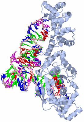 Image Biological Unit 1