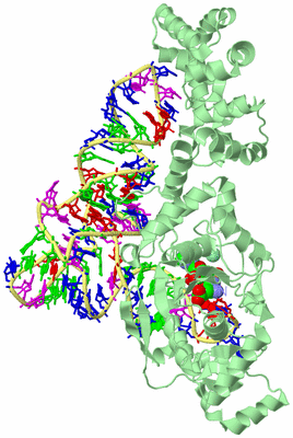 Image Biological Unit 2