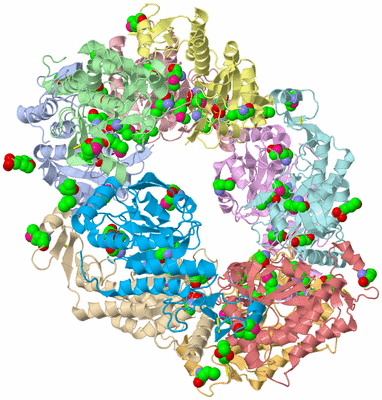 Image Asym./Biol. Unit