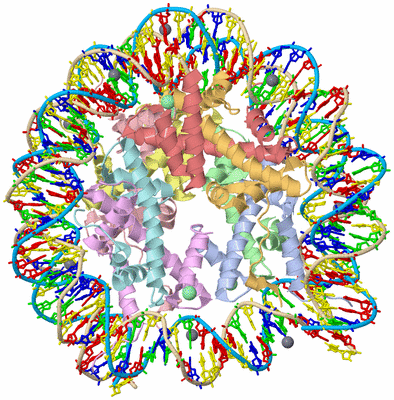 Image Asym./Biol. Unit