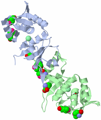 Image Biol. Unit 1 - sites