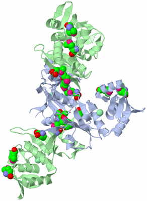 Image Biological Unit 2
