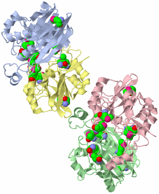 Image Asymmetric Unit