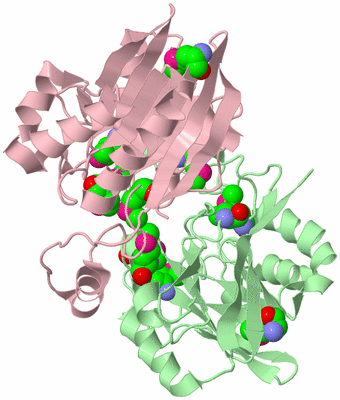 Image Biological Unit 2
