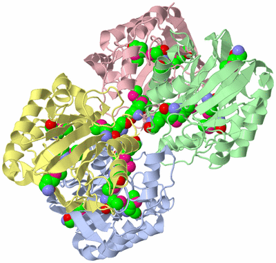 Image Biological Unit 3