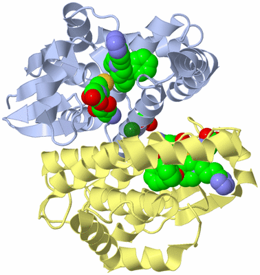 Image Biological Unit 1