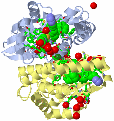 Image Biol. Unit 1 - sites