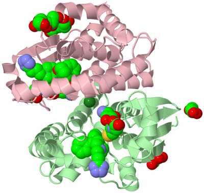 Image Biological Unit 2