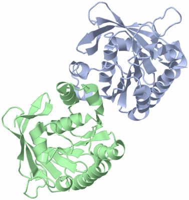 Image Asymmetric Unit