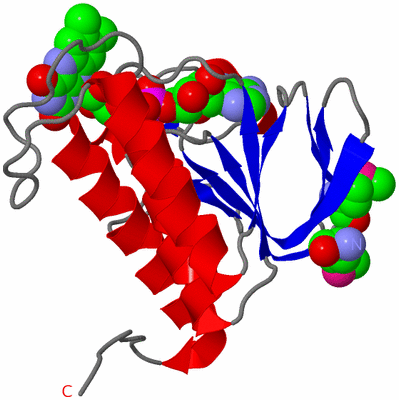 Image Asymmetric Unit
