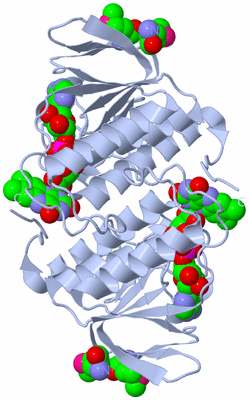 Image Biological Unit 2