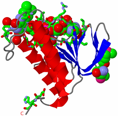 Image Asym. Unit - sites