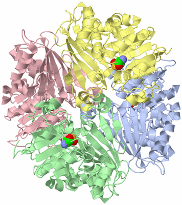 Image Asym./Biol. Unit