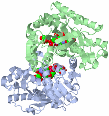 Image Asym./Biol. Unit