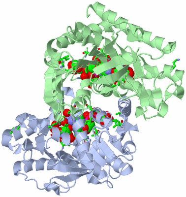 Image Asym./Biol. Unit - sites