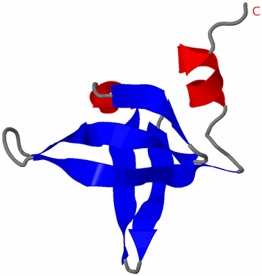 Image NMR Structure - model 1