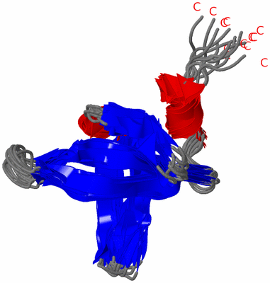 Image NMR Structure - all models