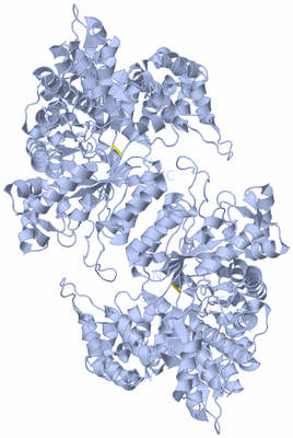 Image Biological Unit 1