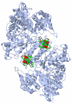 Image Biol. Unit 1 - sites