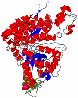 Image Asym. Unit - sites