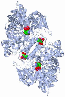 Image Biological Unit 1