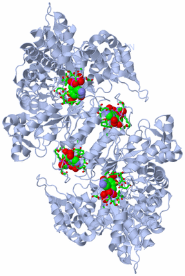 Image Biol. Unit 1 - sites