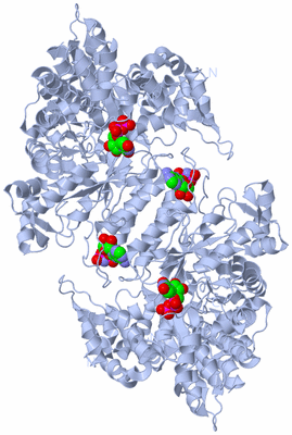 Image Biological Unit 1