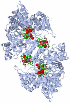 Image Biol. Unit 1 - sites