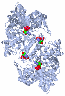 Image Biological Unit 1