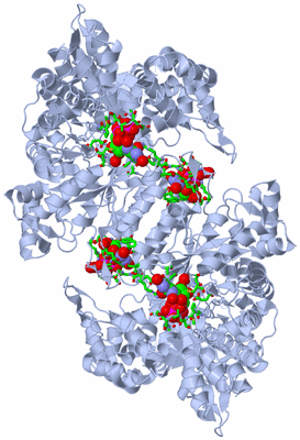 Image Biol. Unit 1 - sites