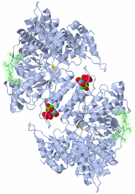 Image Biological Unit 1