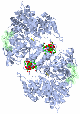 Image Biol. Unit 1 - sites