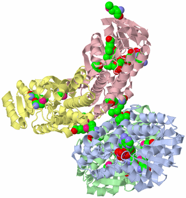 Image Asym./Biol. Unit